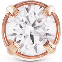 Daniel Wellington DW Earrings Micro 2,5mm Rose Gold